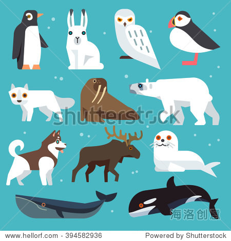 polar birds and arctic northern animals vector set in flat