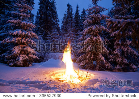 bonfire on snow fir forest