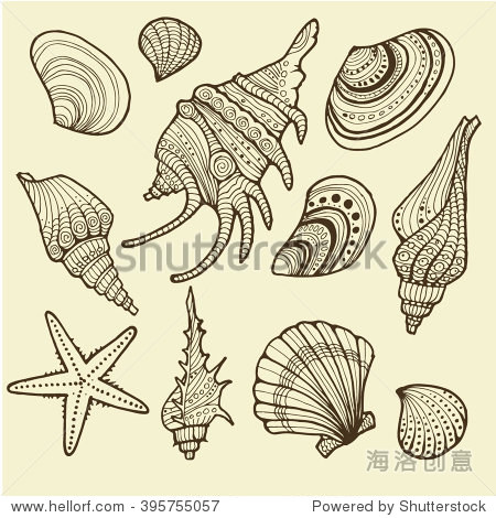 vector illustration of various sea shells doodled