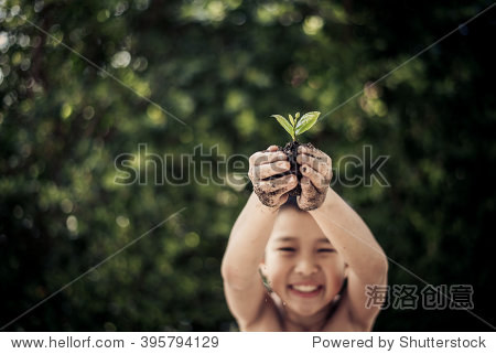 Dark color tone. Selective focus on plant Child holding young seedling plant in hands tree bokeh background. Concept Earth day