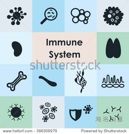 矢量插图\/免疫系统图标集 - 医疗保健,符号\/标志