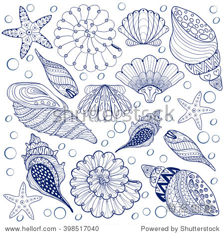 seashells isolated on background, zentangle patterned