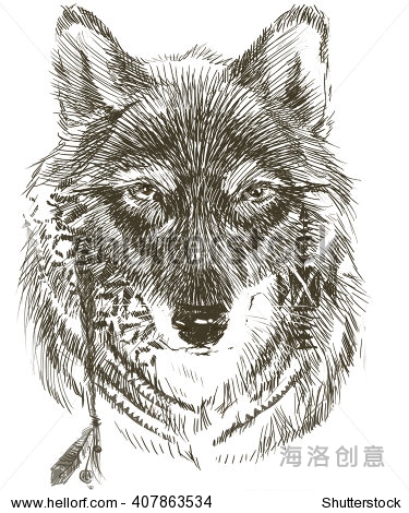 wolf. indian warrior. hand drawn animal sketch illustration.