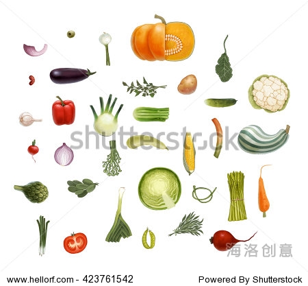 on transparent background: tomato spinach vegetable marrow corn