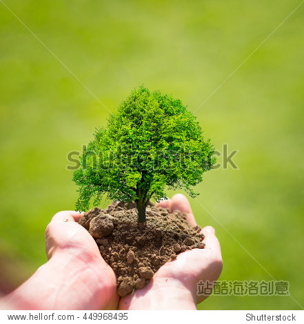 tree in hands planting tree eco nature concept