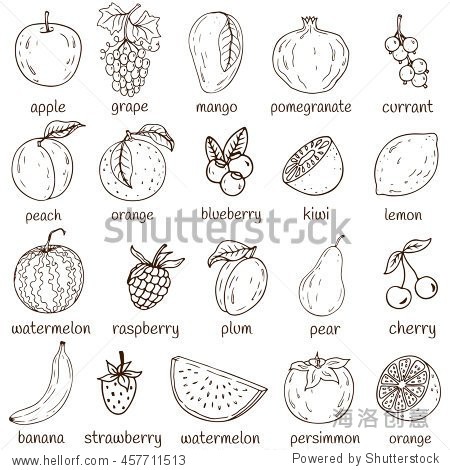 set of fresh healthy hand-drawing fruits and berries isolated.