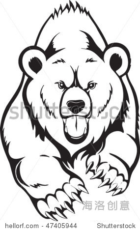 brown bear grizzly vector