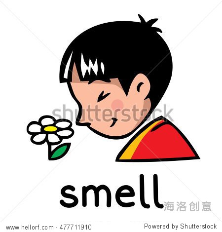 icons of one of five senses - smell.