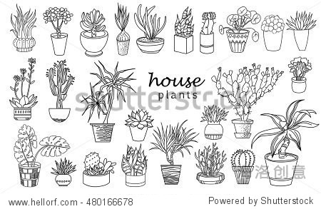 vector linear sketch house plant pot illustration.