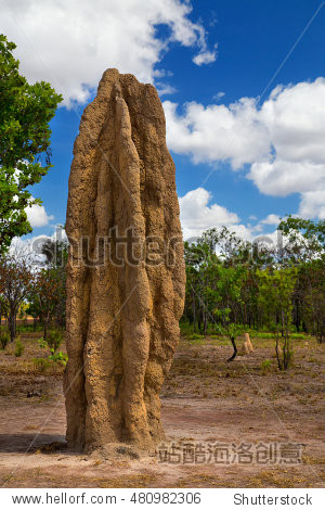 a huge termite mound in kakadu national park australia
