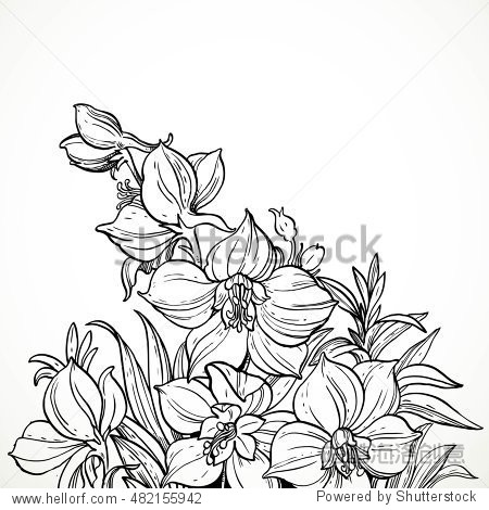 black and white graphic line drawing of flowers and field for