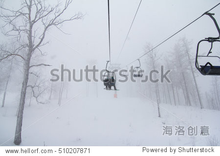 snowy trees in the winter forest in the snowfall.