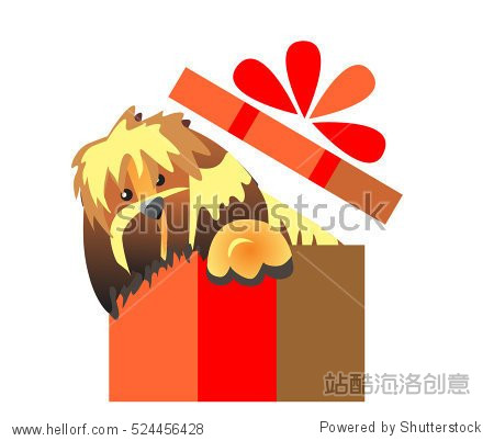 puppy surprise. dog in a gift box