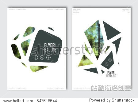 flyer layout template. vector brochure background
