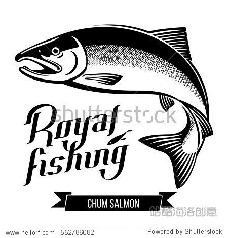 chum salmon fish. black and white outline vector