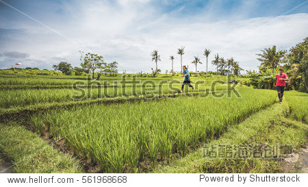 freerunning rice paddies in canggu bali indonesia
