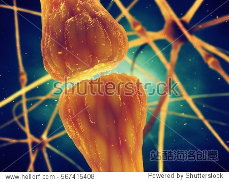 synaptic transmission is the biological process by which