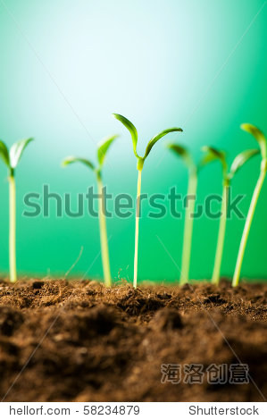 green life中文名叫啥 58234879.jpg
