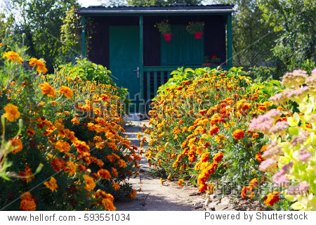 pedestrian walkway lined with flowers for the garden cottage