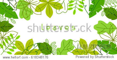 spring or summer foliage.