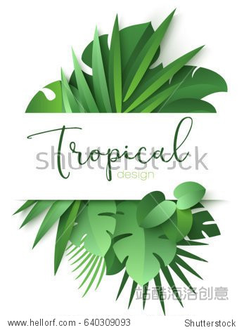 tropical banner with green palm leaves on white background.