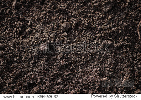 soil cultivated dirt earth ground brown land background.