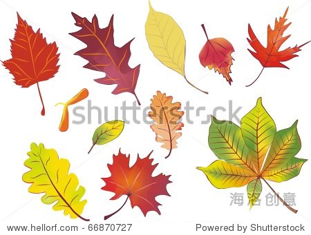 组孤立秋叶矢量插图在水彩画色彩 - 插图/剪贴图,自然图片