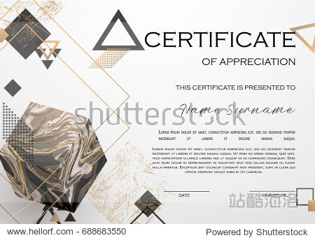 elegant luxury and modern pattern, best quality award template