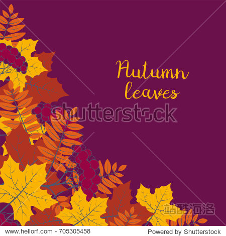 poster flyer or thanksgiving greeting card vector illustration