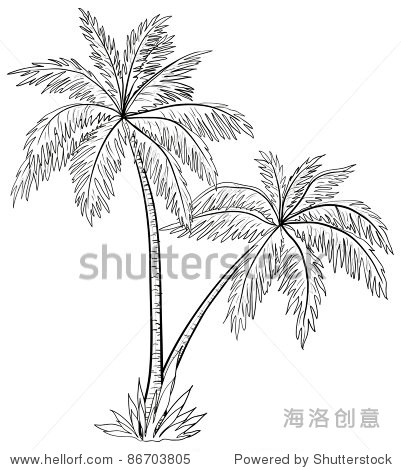 palm trees with leaves monochrome contours on white background