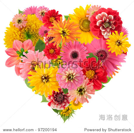 isolated summers flowers heart floral collage concept