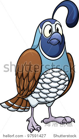 cartoon quail. vector illustration with simple gradients.