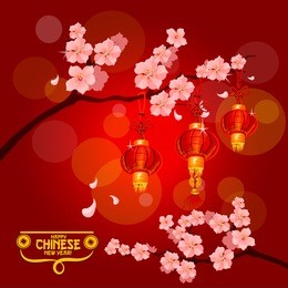 plum blossom with lanterns for chinese new year and spring