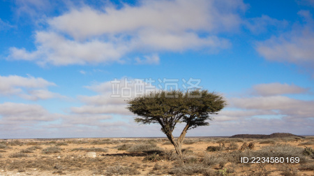 非洲-索马里的风景