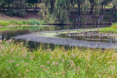 辽河湿地水岸自然风光