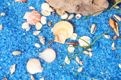一片蓝色透明细沙上各种海螺和贝壳