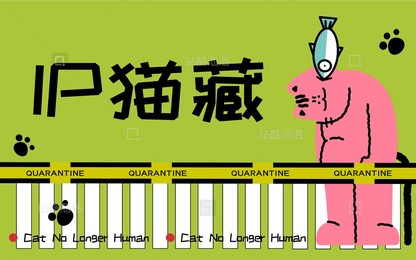 独立设计师 IP猫藏