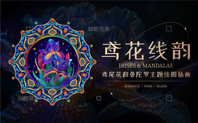 商品类目鸢花线韵