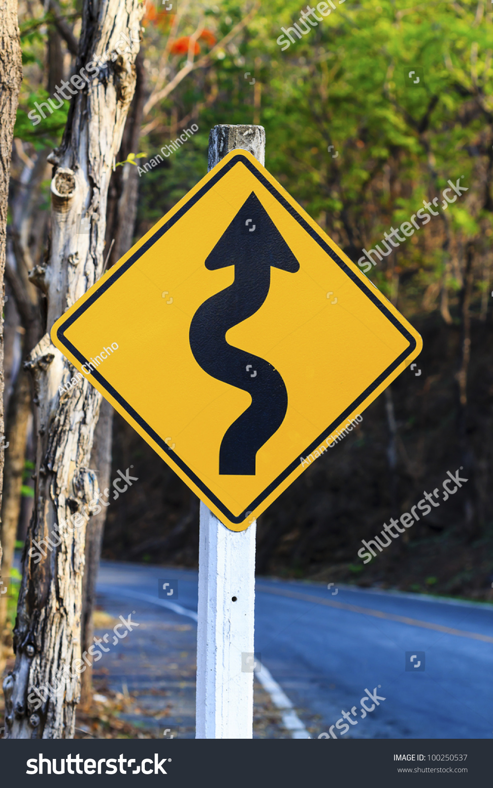 winding road sign in yellow and black