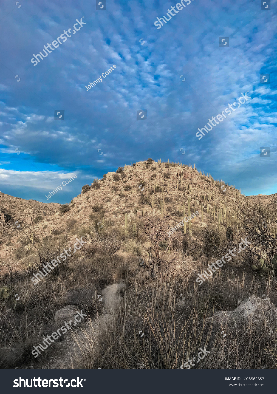 arizonas beautiful desert mountain landscape silhouette