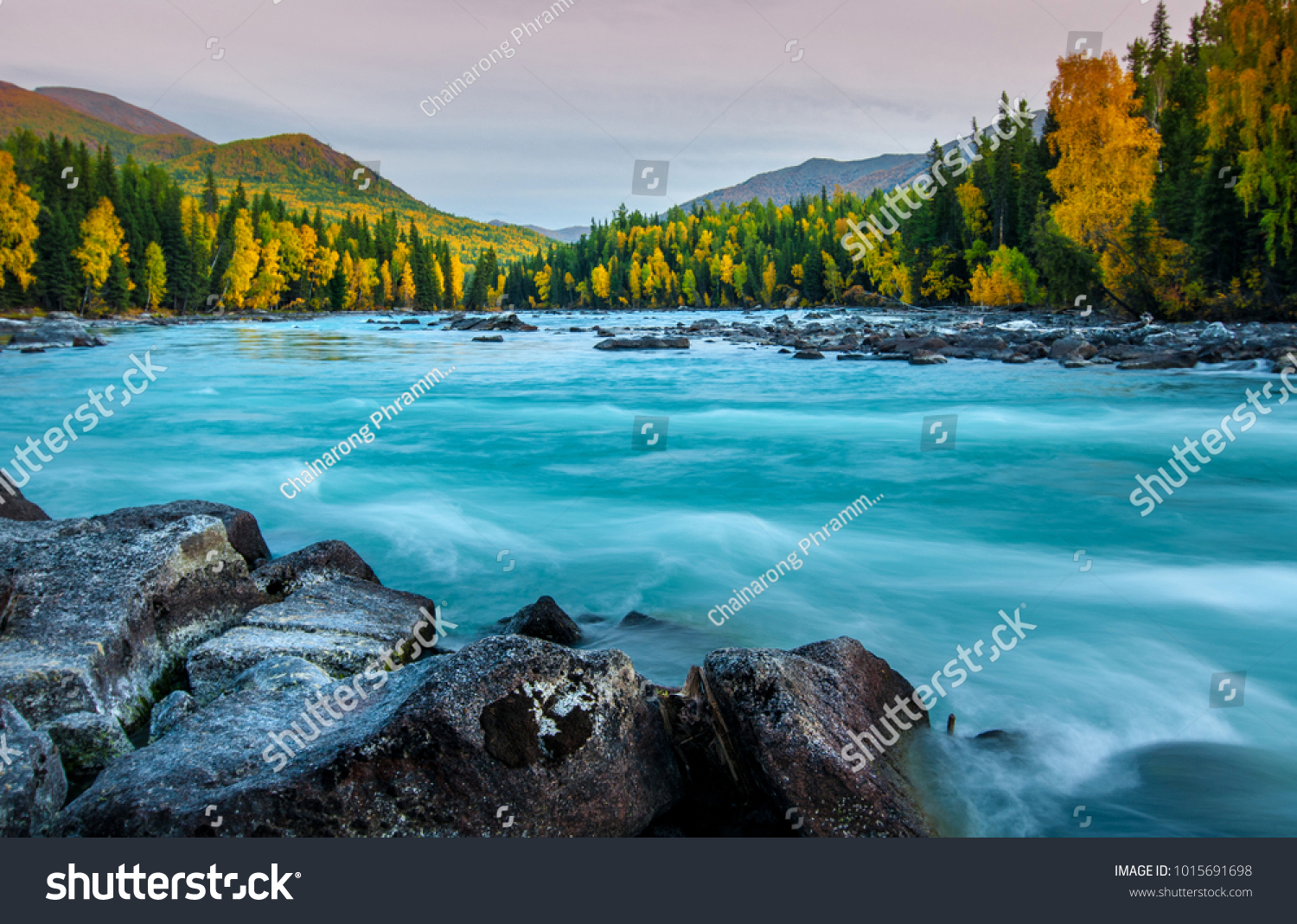 River flowing out of the Kanas Lake at Autumn Xinjiang China The tree color is changed to yellow Sky beautiful on the background.