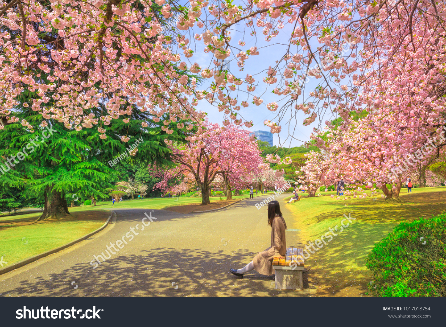 Unidentified woman relaxes under blossoming cherry tree in Shinjuku Gyoen National Garden. Shinjuku Gyoen is the best places in Tokyo to see cherry blossoms. Springtime blu sky.