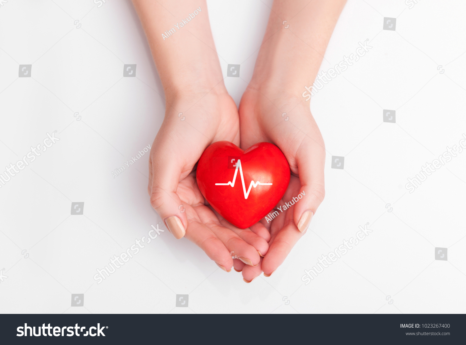 People health concept - close up of woman's cupped hands showing red heart with heart beat.