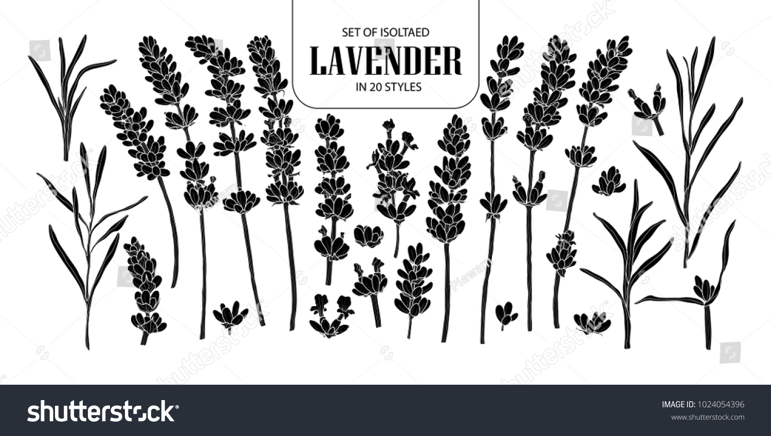 Set of isolated silhouette lavender in 20 styles. Cute hand drawn flower vector illustration in white outline and black plane on black background.