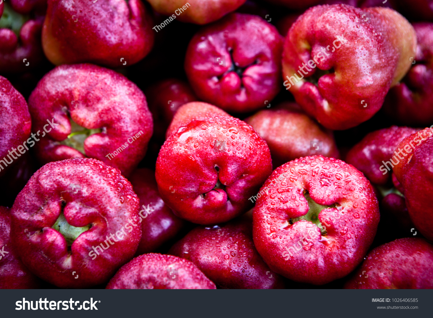 Jambu Wax Apples