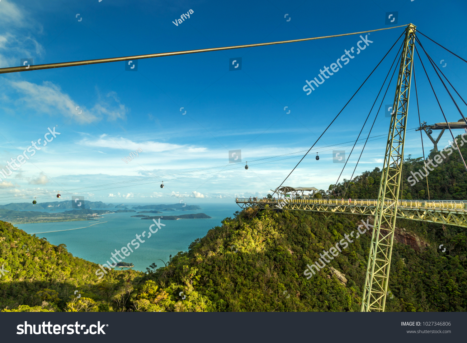 预览