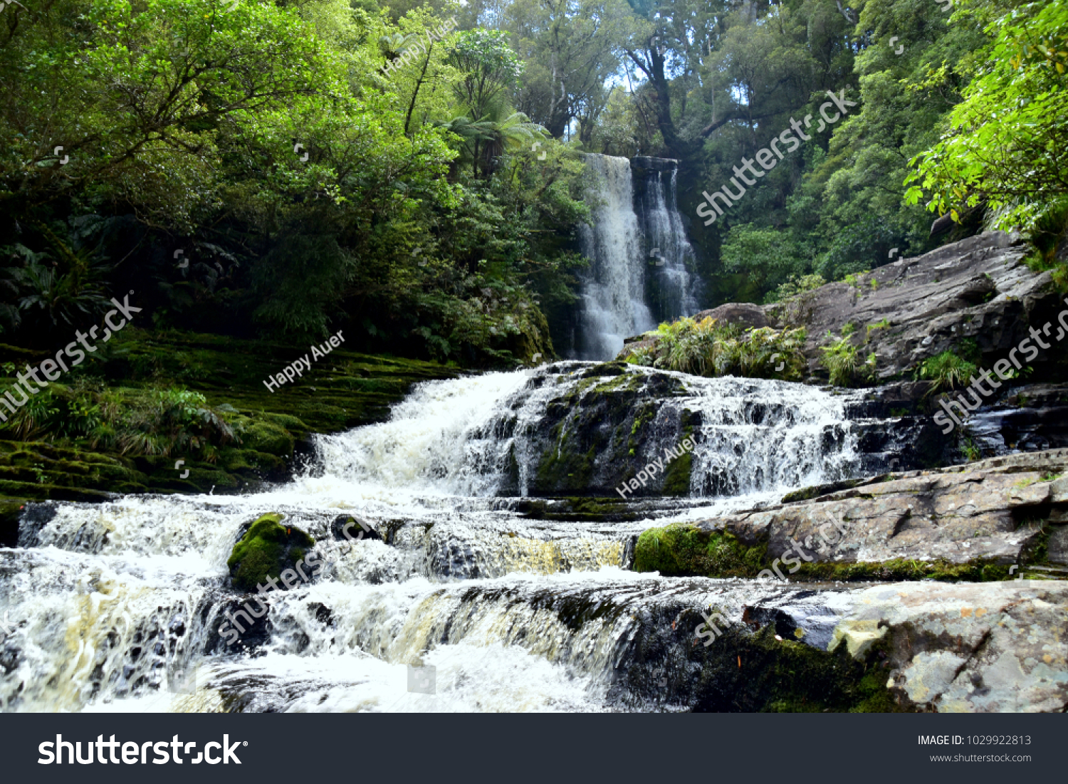 Beautiful waterfall hidden in the forest in the Southland of New Zealand