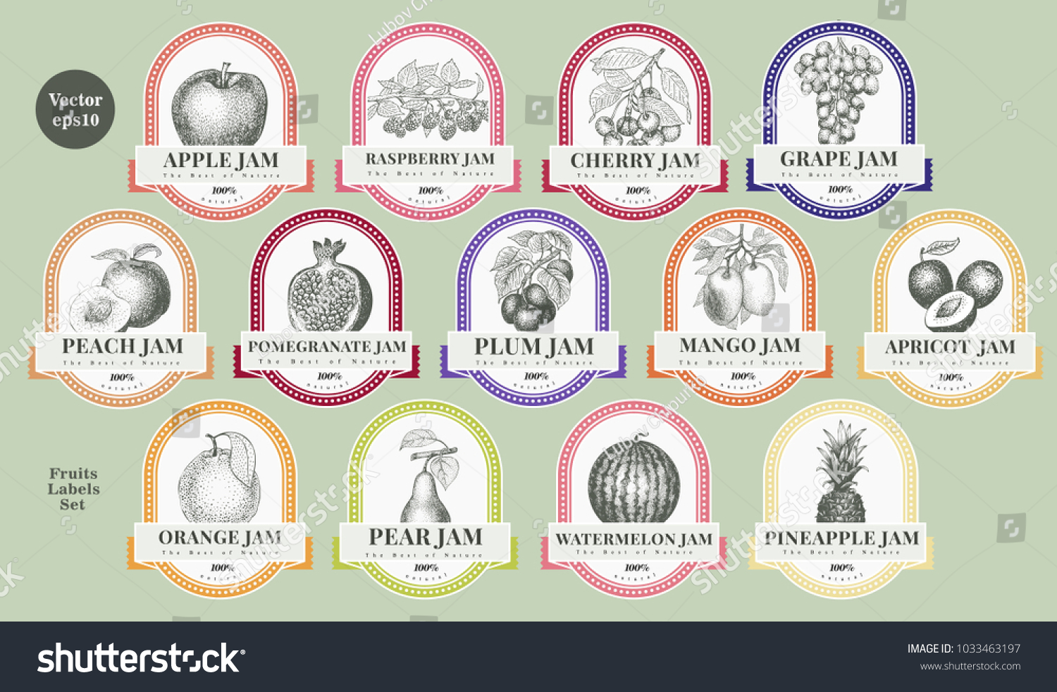 Berry and fruit labels set. Retro style design template. Hand drawn vector illustrations.