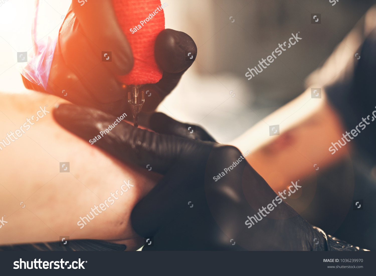 预览