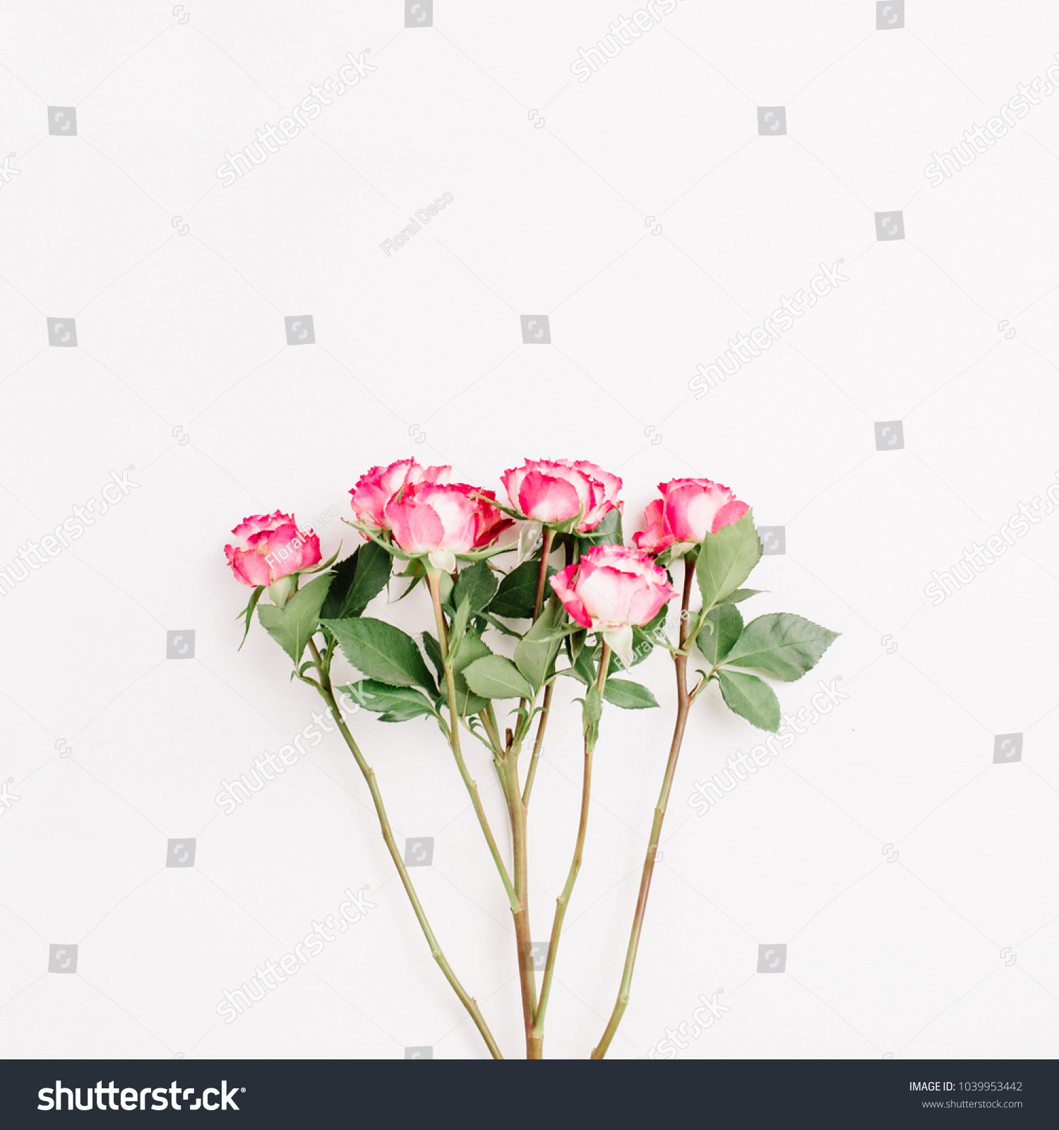 Red rose flowers bouquet. Flat lay  top view minimal spring floral header.